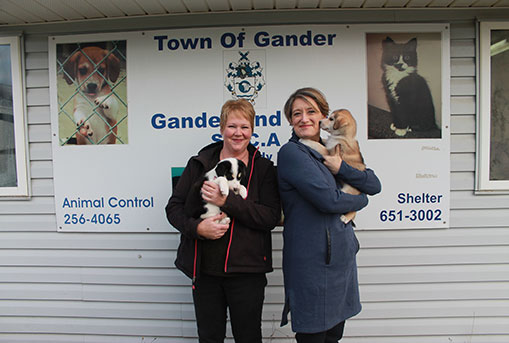 Bonnie Harris and Petrina Bromley (Bonnie & Others on Broadway) at the Gander SPCA, October 2016