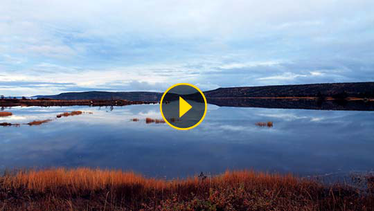 Thumbnail image of Gander’s scenic nature