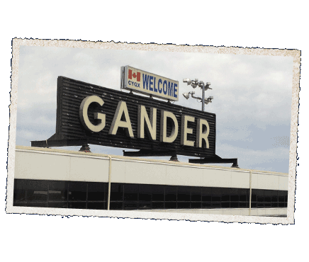 A total of 38 planes have landed in Gander, carrying 6,579 passengers and crew.