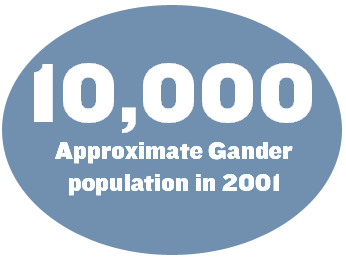 10,000: Approximate Gander population in 2001